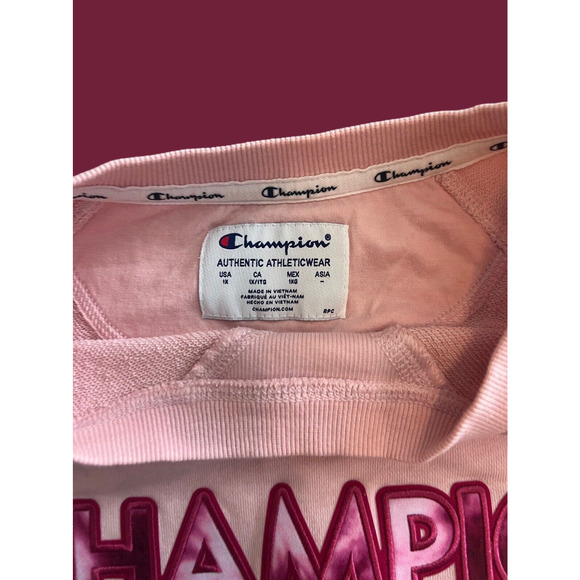 CHAMPION SPELLOUT Campus French Terry Cotton Sweatshirt, Pink| Women's Size: 1X - Picture 3 of 10